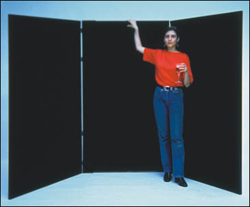 Velcro room divider partition